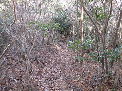 20140103hike (190)